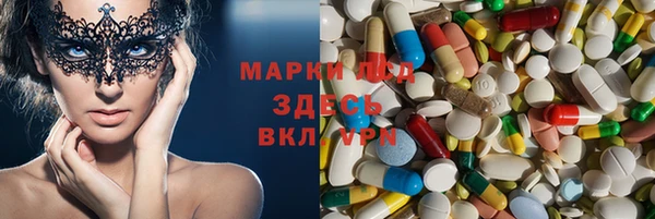 стаф Бугульма