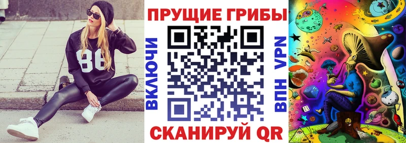 продажа наркотиков  Владимир  Псилоцибиновые грибы Cubensis 